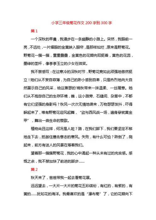 小学三年级菊花作文200字到300字