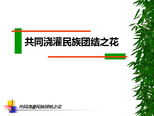 共同浇灌民族团结之花PPT演示文稿