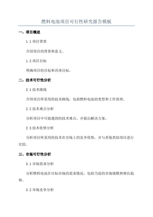 燃料电池项目可行性研究报告模板