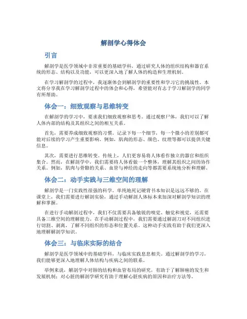 解剖学心得体会