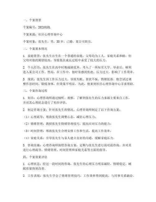 个案报告总结范文