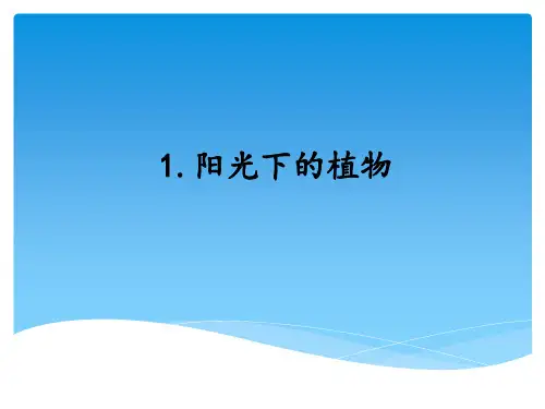 小学科学《阳光下的植物》教学课件