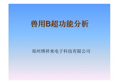 兽用B超功能分析