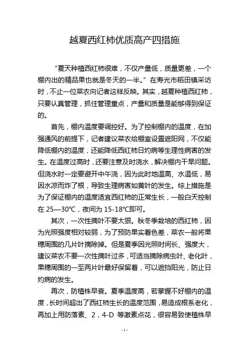 越夏西红柿优质高产四措施