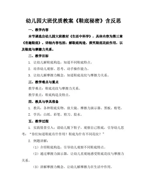 幼儿园大班优质教案《鞋底的秘密》含反思