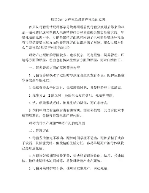 母猪为什么产死胎母猪产死胎的原因