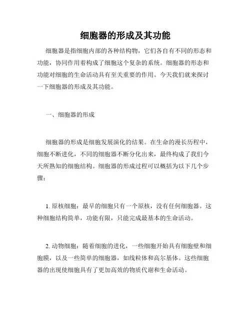 细胞器的形成及其功能