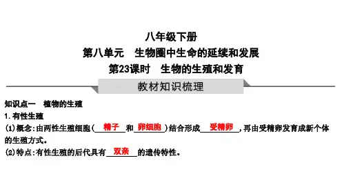 2022-2023生物中考一轮复习第23课时 生物的生殖和发育(鲁教版)
