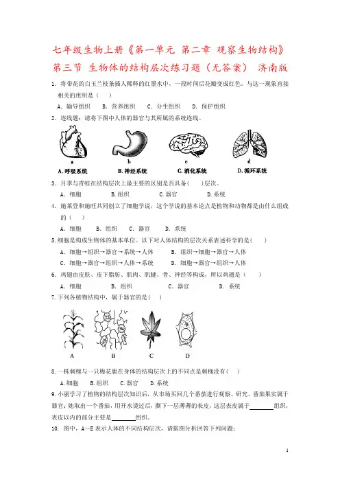 七年级生物上册《第一单元 第二章 观察生物结构》第三节 生物体的结构层次练习题(无答案) 济南版