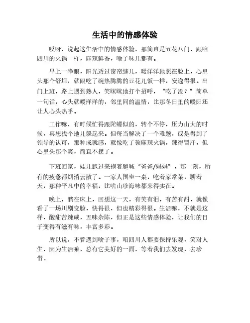 生活中经历的一切情感体验作文