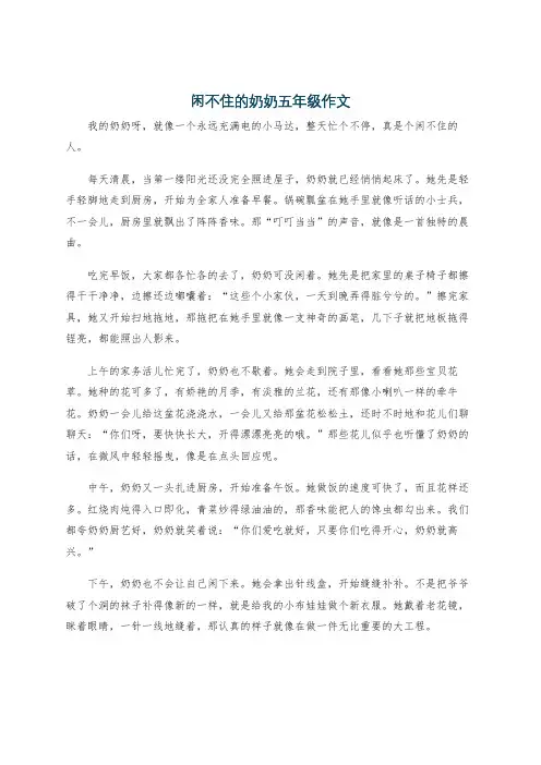 闲不住的奶奶五年级作文
