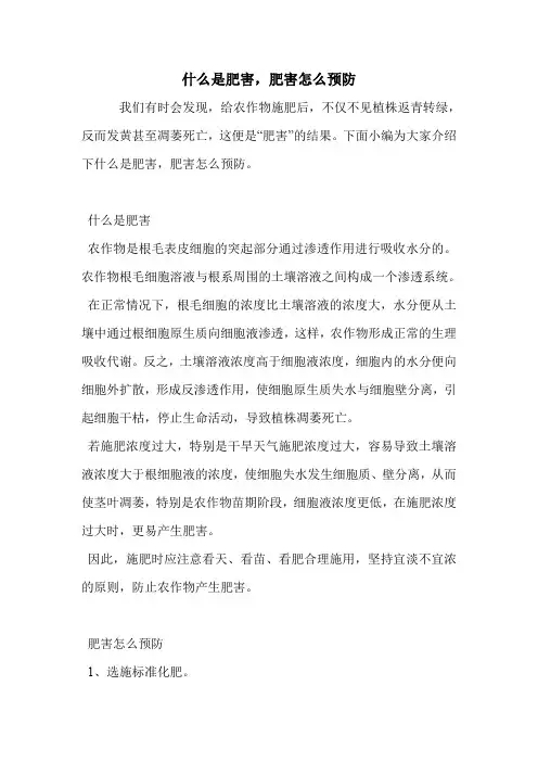 什么是肥害,肥害怎么预防.doc