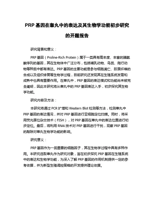 PRP基因在睾丸中的表达及其生物学功能初步研究的开题报告