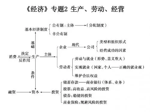 高考政治二轮复习《经济》专题2 生产、劳动、经营