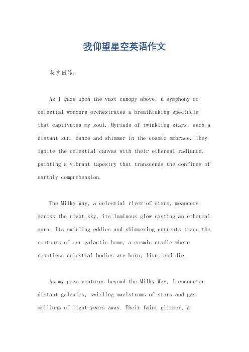 我仰望星空英语作文