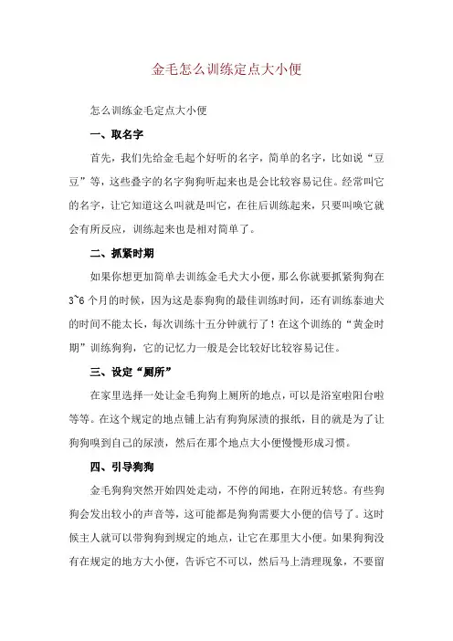 金毛怎么训练定点大小便