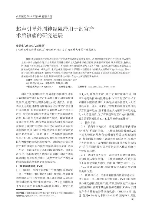 超声引导外周神经阻滞用于剖宫产术后镇痛的研究进展