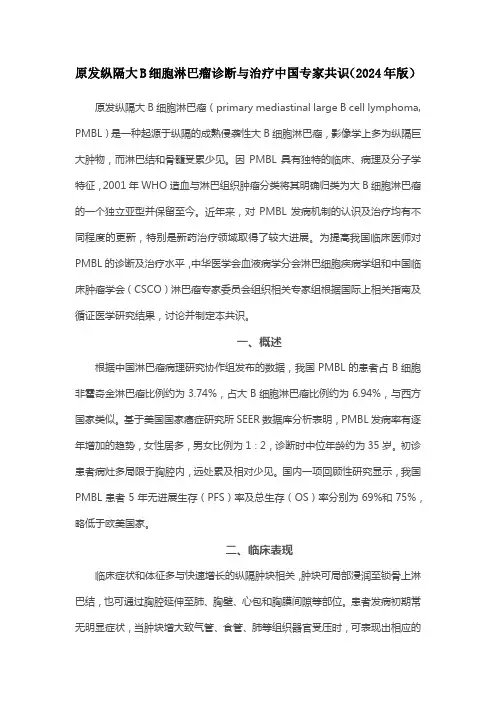 原发纵隔大B细胞淋巴瘤诊断与治疗中国专家共识(2024年版)