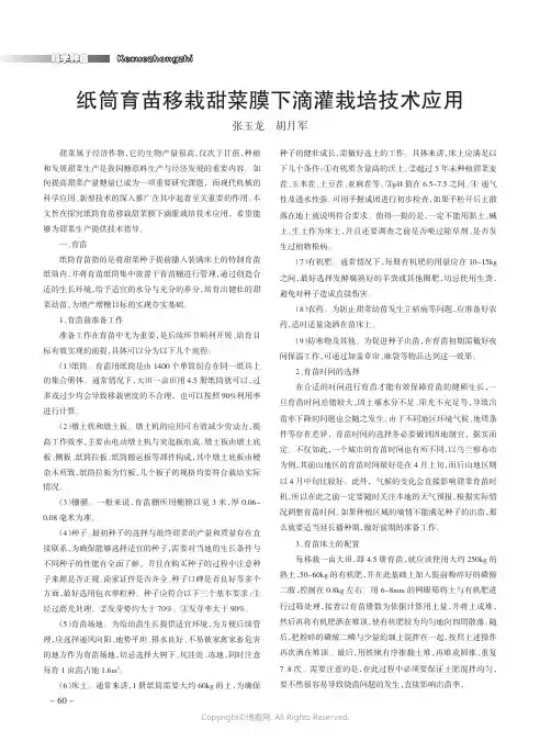 纸筒育苗移栽甜菜膜下滴灌栽培技术应用