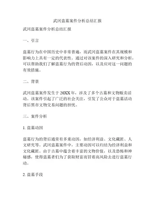 武冈盗墓案件分析总结汇报