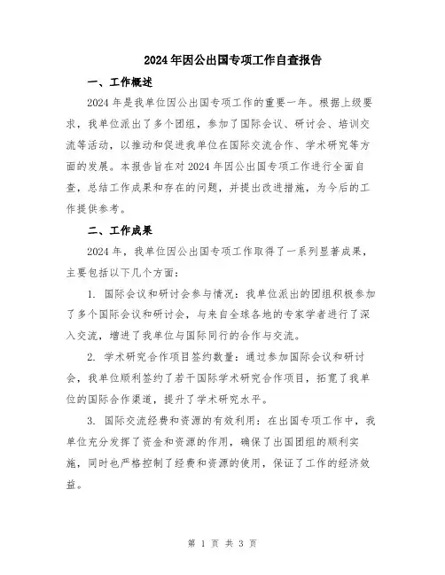 2024年因公出国专项工作自查报告
