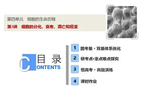【人教版】2019版高考一轮：4.3-细胞的分化、衰老、凋亡和癌变