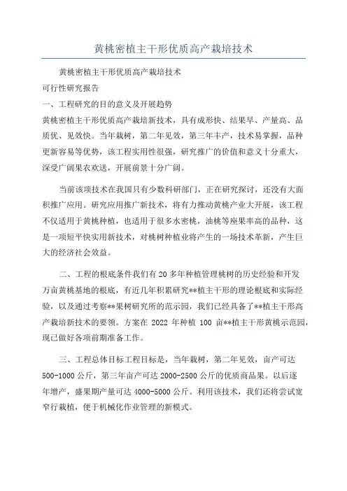 黄桃密植主干形优质高产栽培技术
