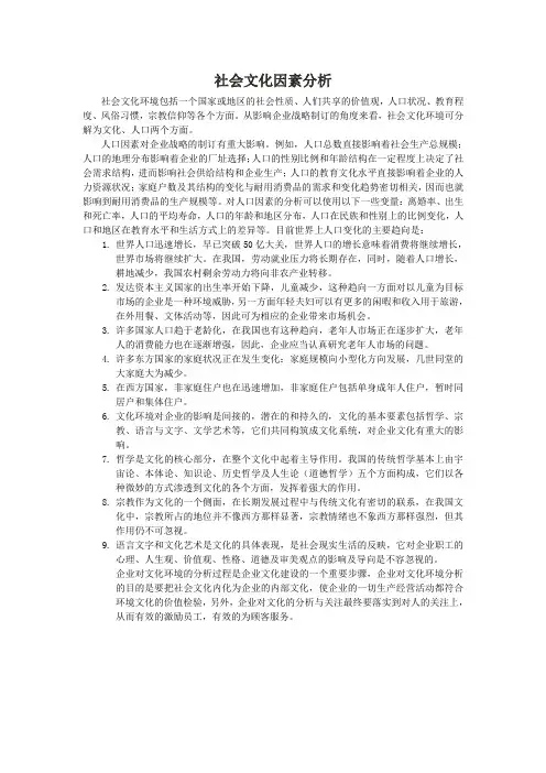 S 社会文化因素分析