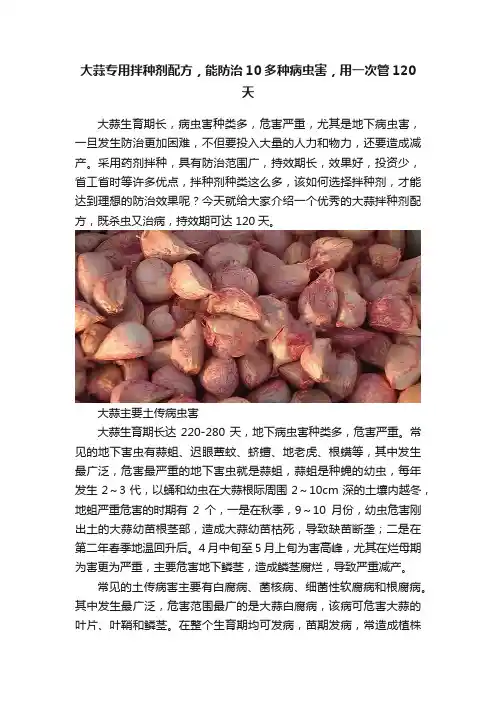 大蒜专用拌种剂配方，能防治10多种病虫害，用一次管120天