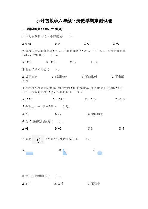 小升初数学六年级下册数学期末测试卷及参考答案(完整版)