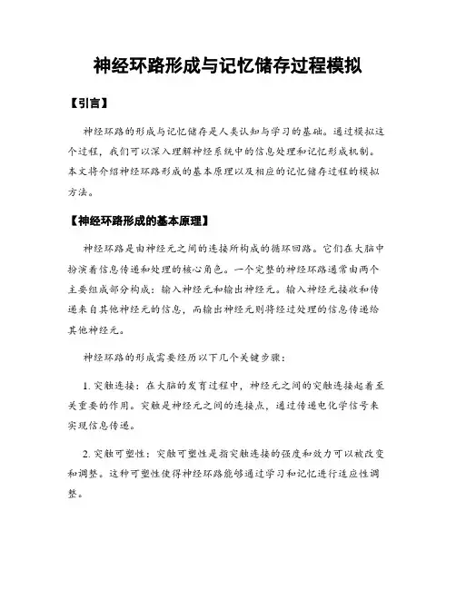 神经环路形成与记忆储存过程模拟