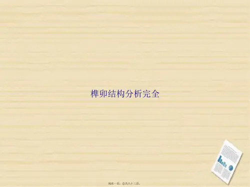 榫卯结构分析完全讲课文档