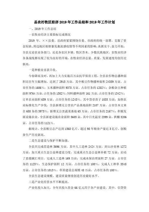 工作总结-县农村牧区经济2019年工作总结和2019年工作