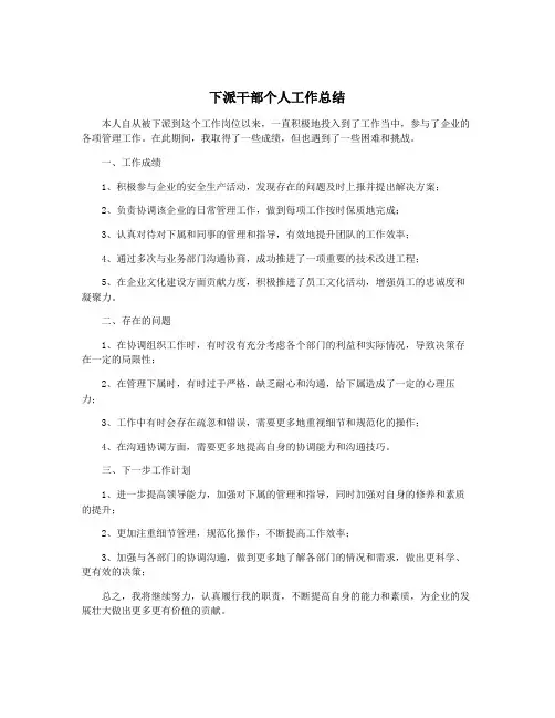 下派干部个人工作总结