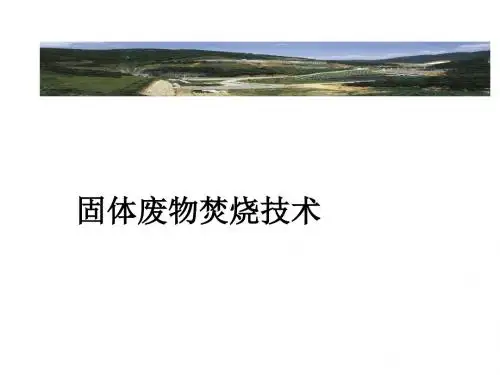固体废物焚烧技术
