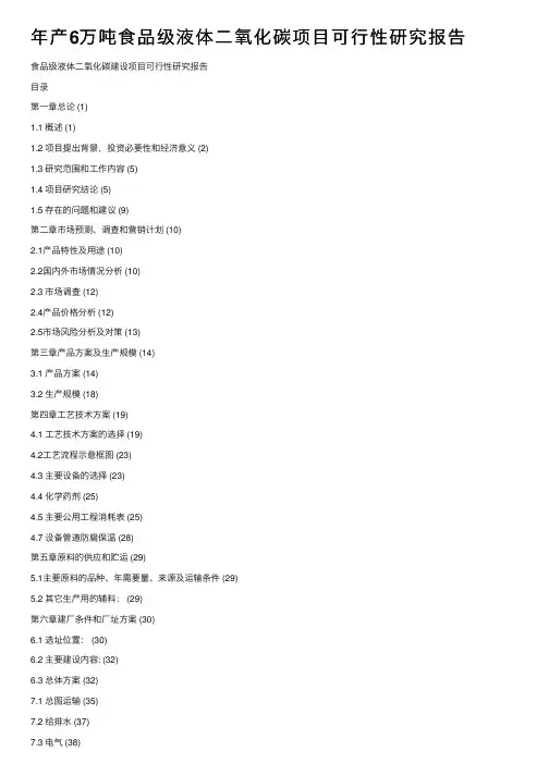 年产6万吨食品级液体二氧化碳项目可行性研究报告