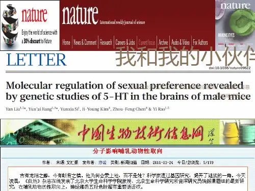 实验三骨骼肌收缩特性和收缩形式的观测