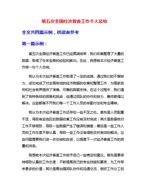 第五次全国经济普查工作个人总结