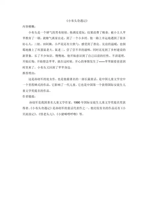 小布头奇遇记