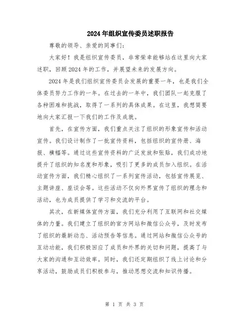 2024年组织宣传委员述职报告