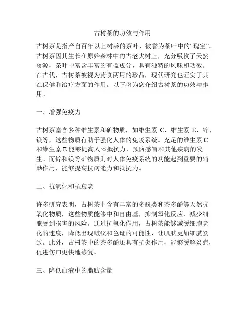 古树茶的功效与作用