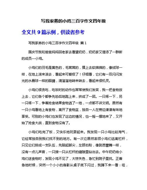 写我家养的小鸡三百字作文四年级