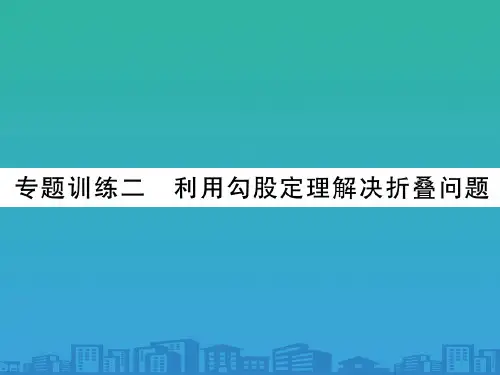 专题训练二--利用勾股定理解决折叠问题(共13张PPT)
