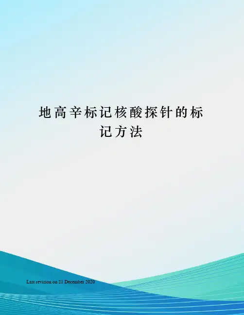 地高辛标记核酸探针的标记方法