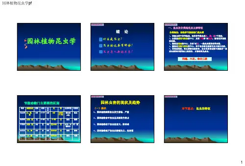 安徽农业大学昆虫学总复习pf老师