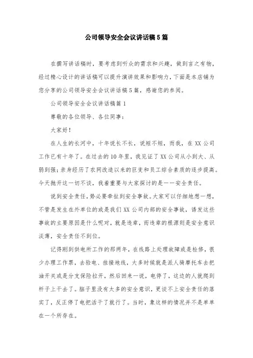 公司领导安全会议讲话稿5篇