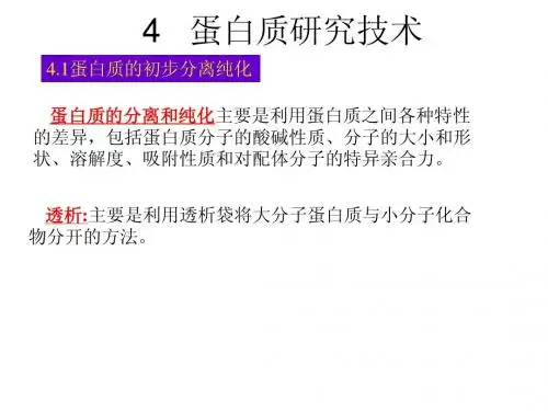 蛋白质研究技术