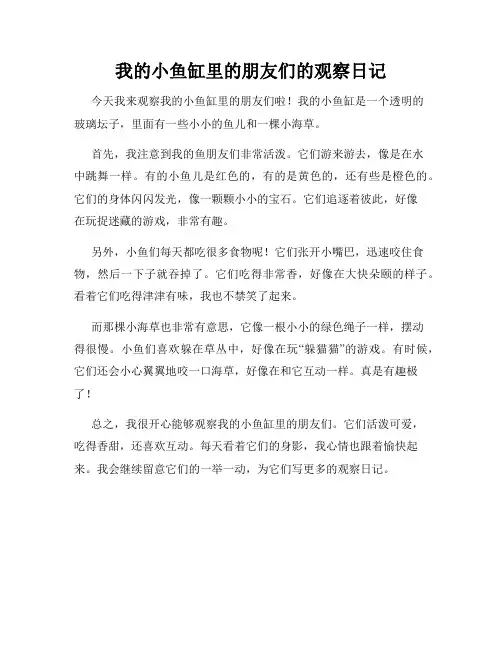 小学三年级作文我的小鱼缸里的朋友们的观察日记