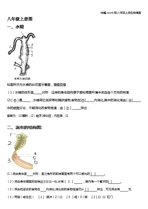 (完整word版)八年级上册生物填图