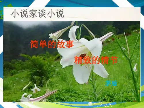 苏教版九级上语文《小说家谈小说》课件